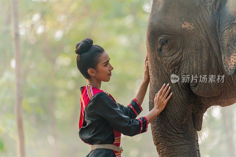 年轻美丽的亚洲女子在传统的泰国东北部伊桑服装触摸和纵容一个巨大的大象