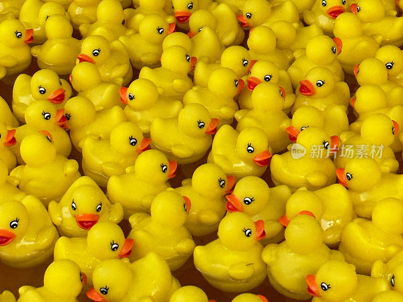 黄色的全画幅图像，漂浮在儿童游戏池水面上的塑料鸭子，勾鸭游乐场游乐游戏，高架视图，重点放在前景上