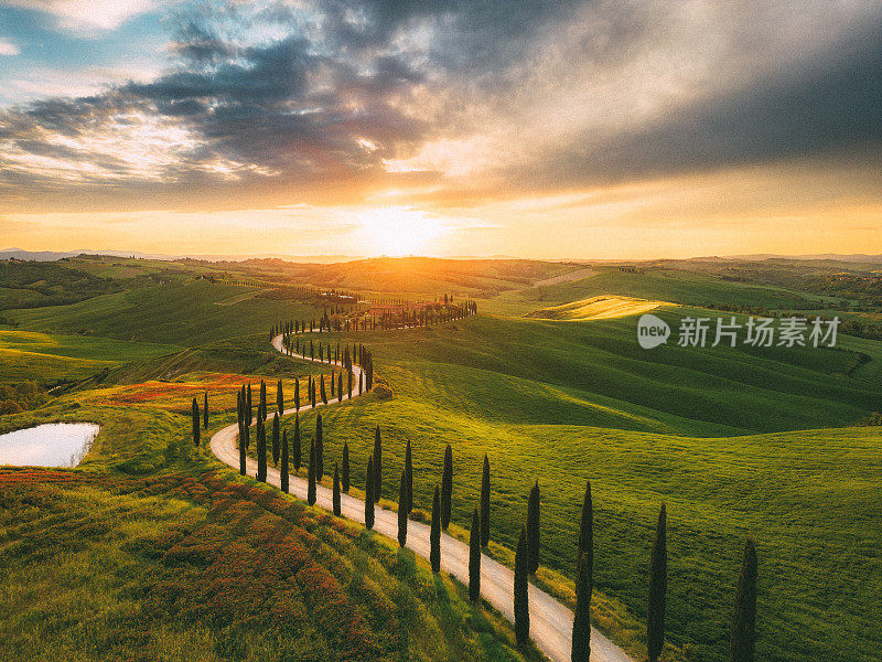 托斯卡纳的柏树道路和起伏的景观