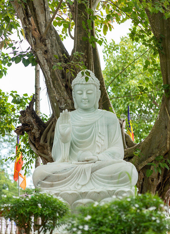 芹苴市芳南翠林禅寺的佛像