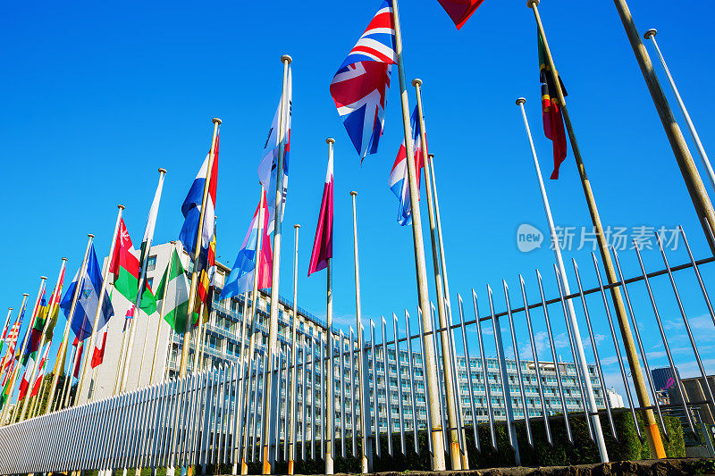 在法国巴黎的联合国教科文组织总部前悬挂着世界国旗