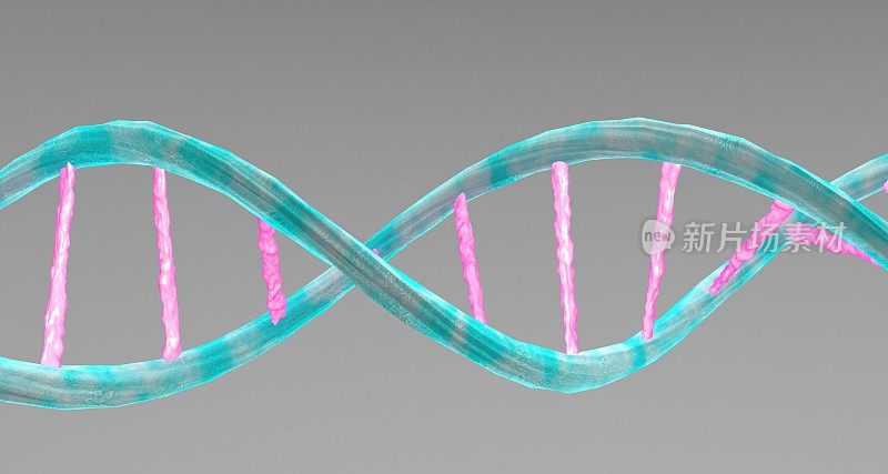 灰色背景上的DNA双螺旋结构