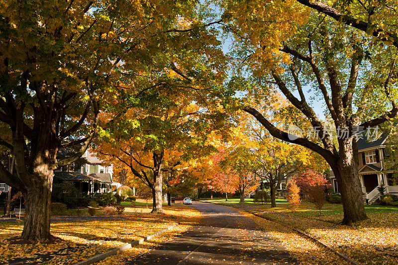 马州纽顿的住宅路，秋天