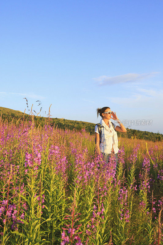 中年妇女徒步旅行者野花高山草甸山景观