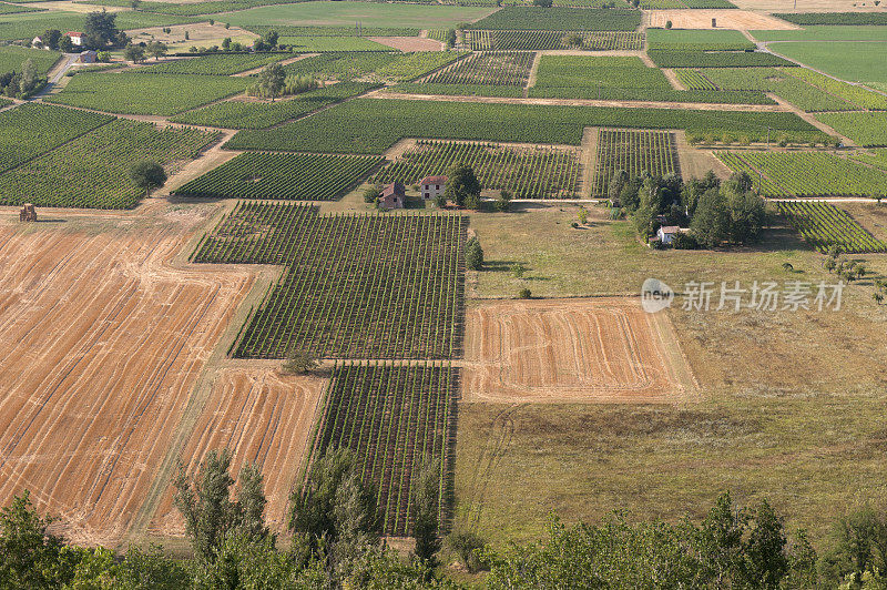 农村的场景。葡萄园景观中的小屋