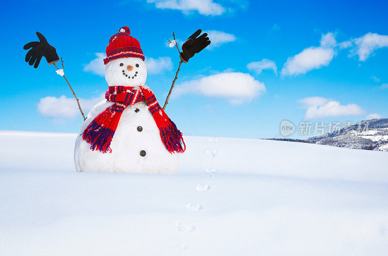 圣诞快乐的雪人