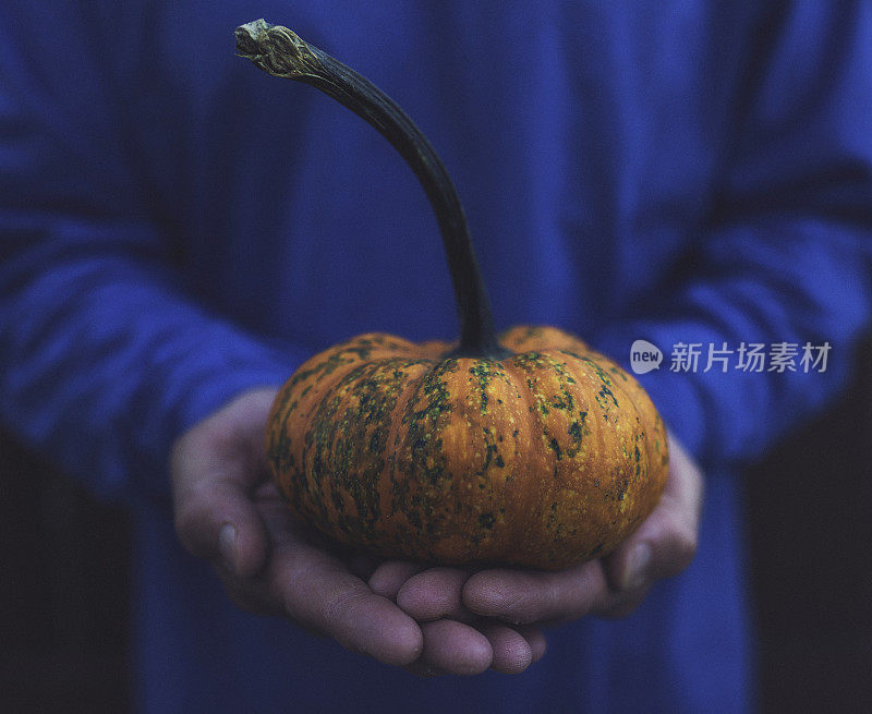 骄傲的农民拿着有机南瓜过感恩节