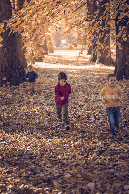 孩子们在公园里跑过落叶