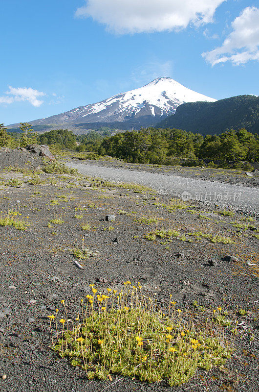 智利的火山