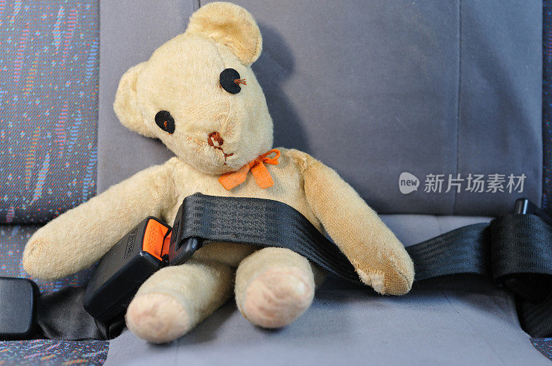 在车里系安全带的泰迪熊