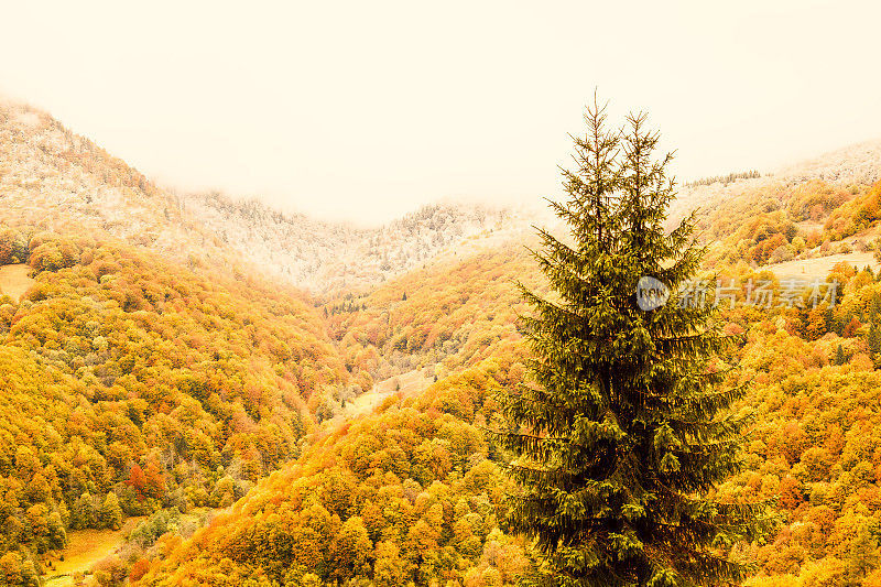喀尔巴阡山脉的秋天