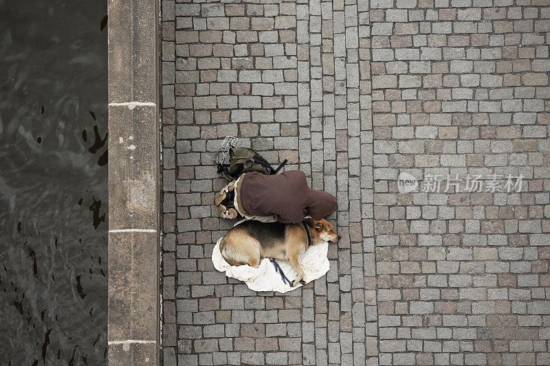乞丐与狗