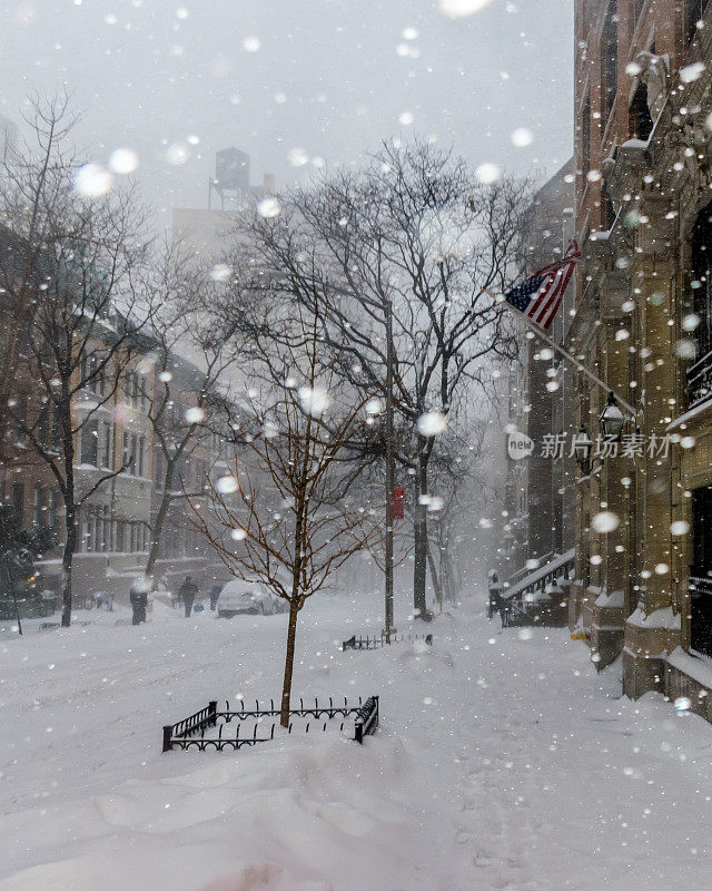纽约下雪了