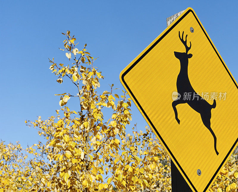 鹿跨越标志