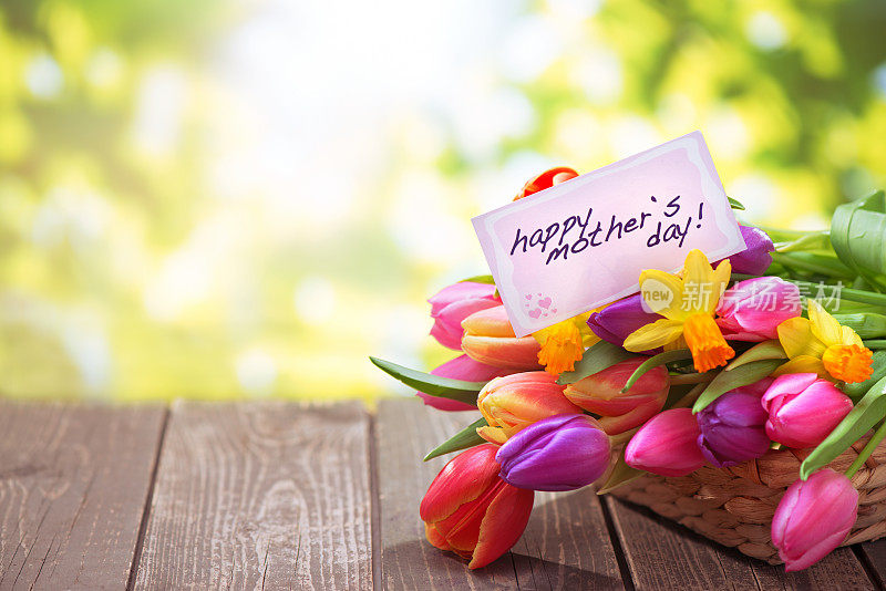 五彩缤纷的郁金香和水仙花与母亲节贺卡在大自然中