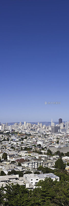摩天大楼和郊区城市垂直景观旧金山全景加利福尼亚