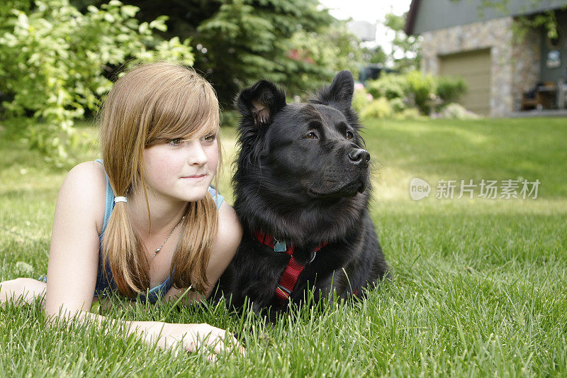 草地上的女孩和狗