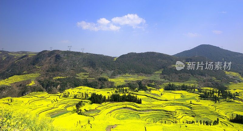 中国云南省美丽的梯田