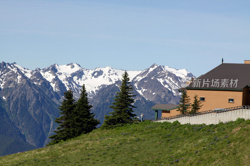 奥林匹克国家公园飓风岭小屋的卡丽山