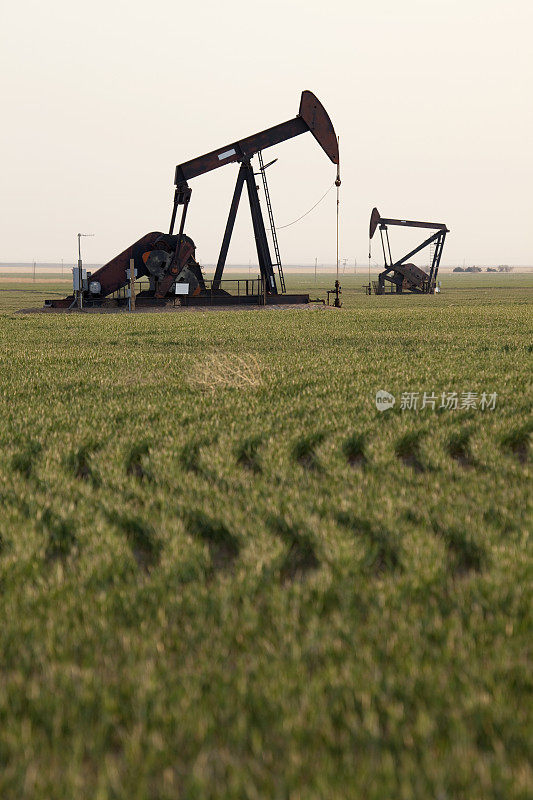 堪萨斯州西部的农田和油泵