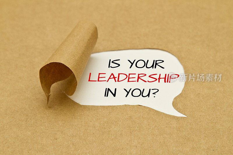 你对领导能力有疑问吗