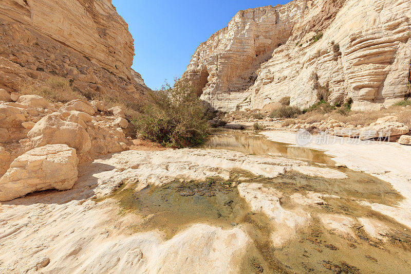 以色列内盖夫沙漠Avdat国家公园