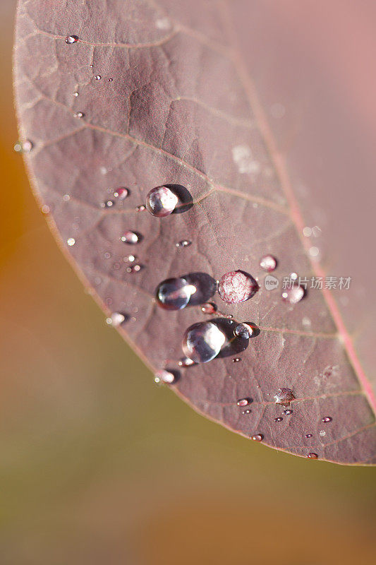 雨滴文摘