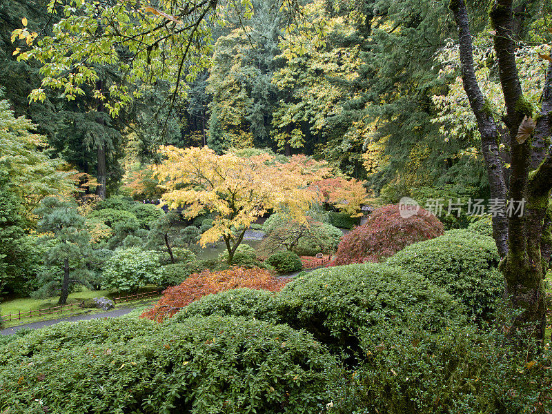 俄勒冈州波特兰市日本花园上方的秋色