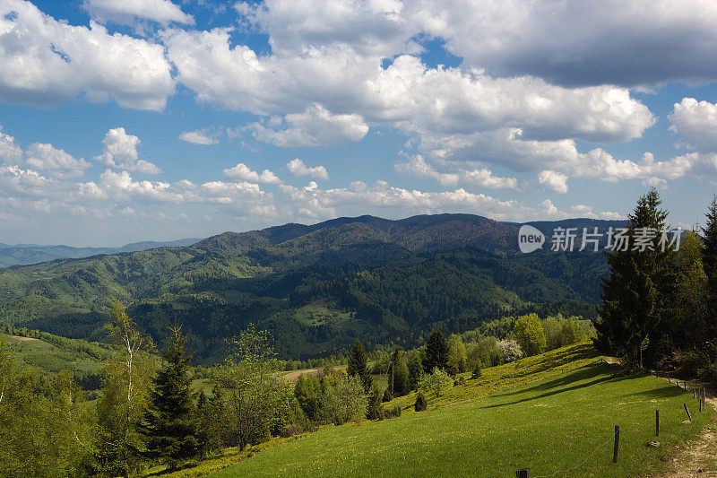 五月的山景。Beskid,波兰。