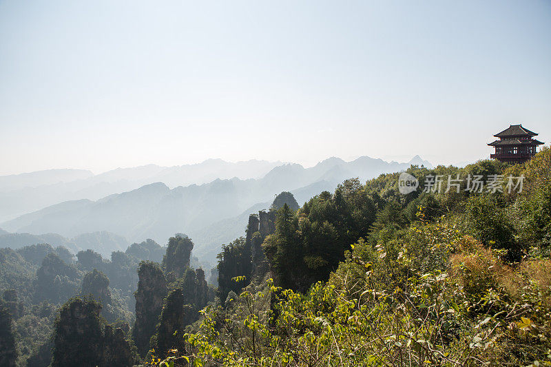 砂岩柱，张家界国家森林公园，中国