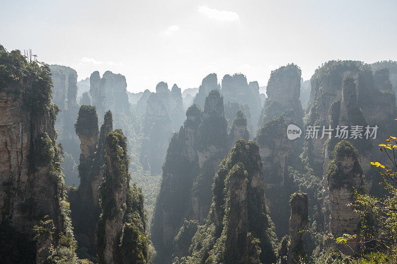 砂岩柱，张家界国家森林公园，中国