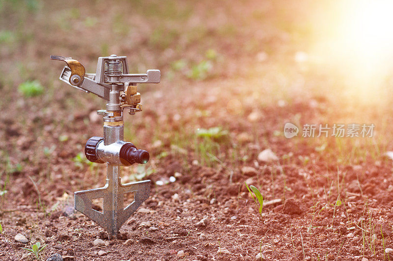 灌溉系统。园艺