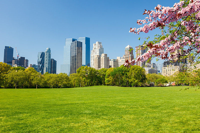 春天的纽约中央公园