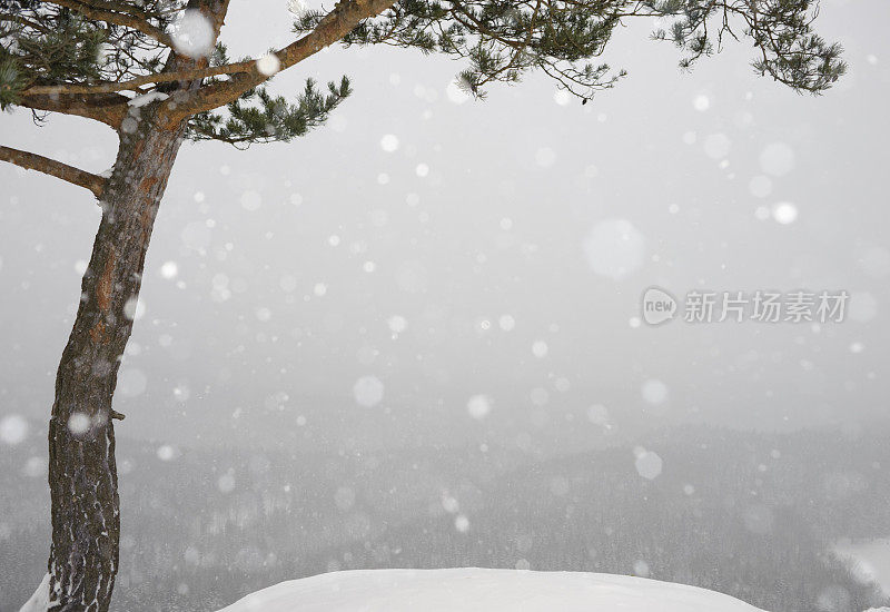 雪花