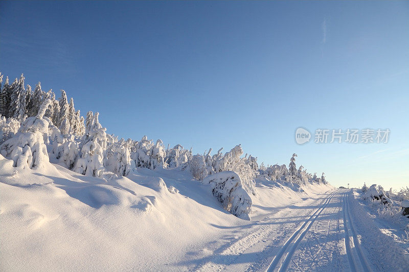 在黑森林的冬季景观和越野赛道