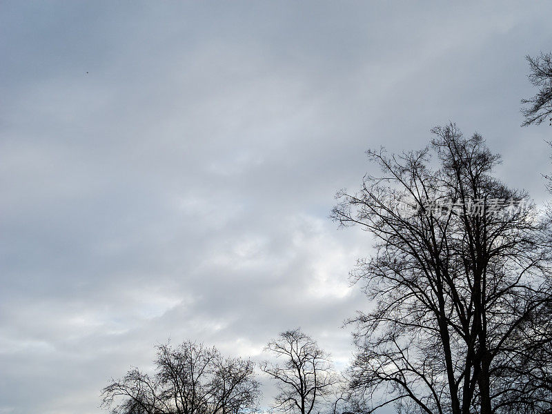 冬天的树木灰蒙蒙的，天空有点多云
