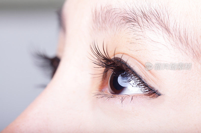 一个女人的棕色眼睛和睫毛的特写