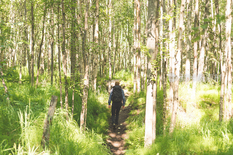 二十多岁的男人独自在森林里徒步旅行