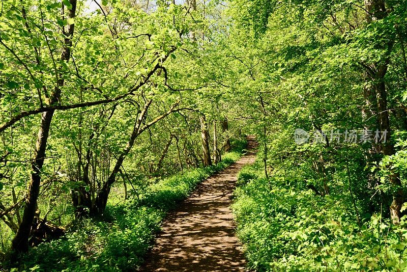 英国的风景