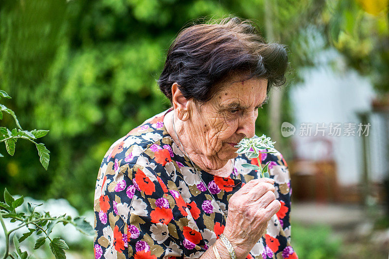 年长妇女享受闻花