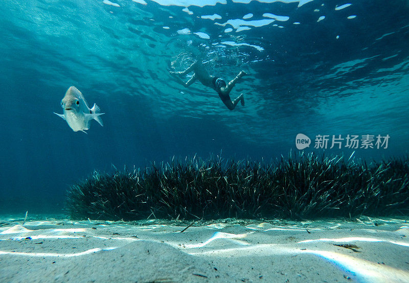 在海里游泳的人胜过在水下游泳的鱼