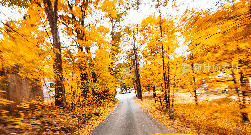 新罕布什尔州的秋天之路