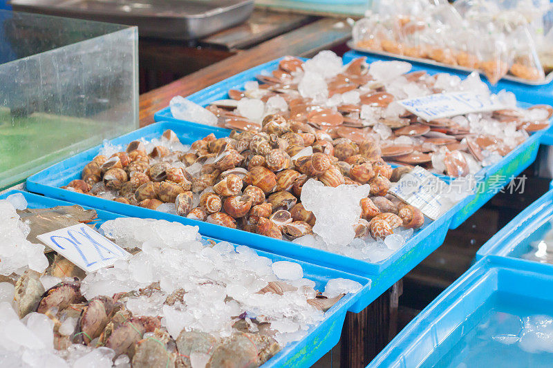 巴比伦乳，泰国市场上的海鲜