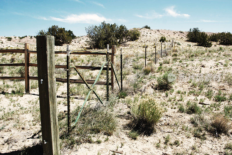 西南景观:木栅柱和沙漠景观