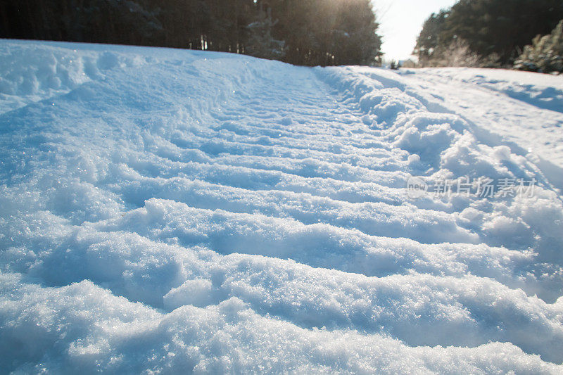 雪上和太阳上的雪车痕迹的特写