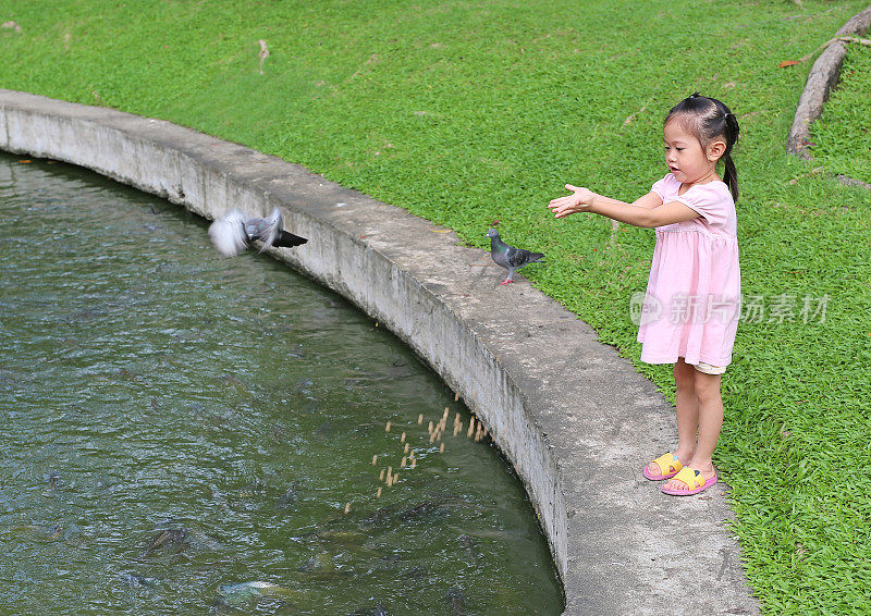 儿童手拿食物喂鱼或鸟在花园里。