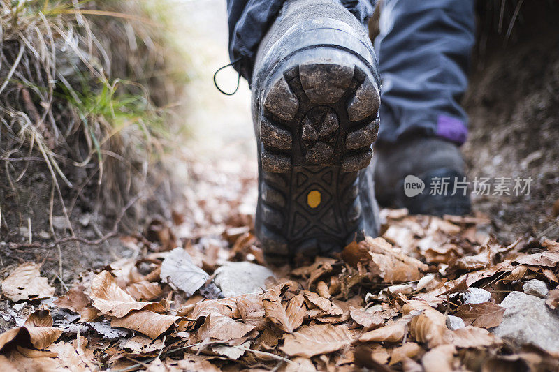 在森林小径上行走的徒步旅行者