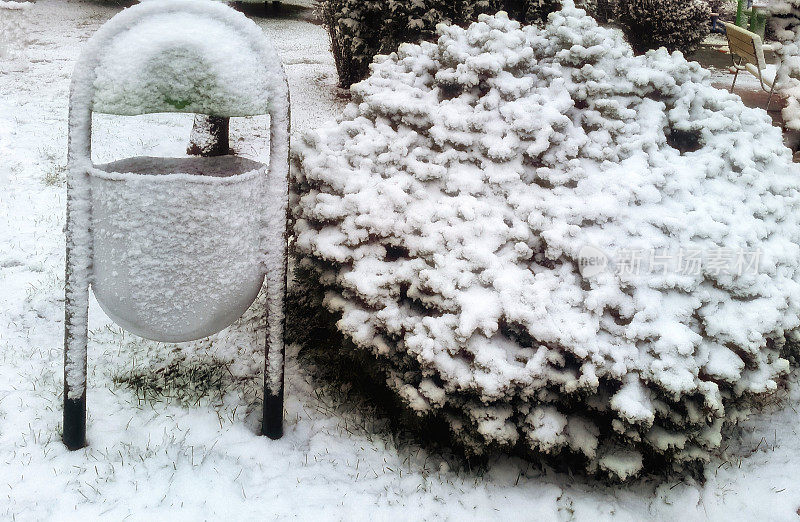 灌木丛和垃圾箱覆盖着雪