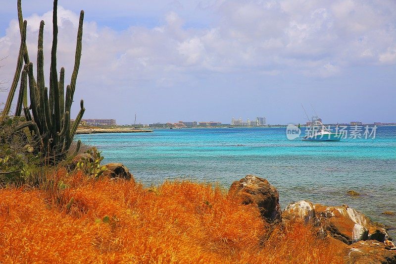 游艇和岚什海滩，沙漠仙人掌植被，阿鲁巴度假胜地，加勒比海