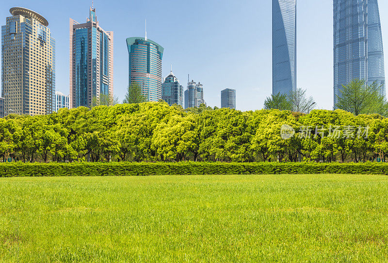 蓝天下的上海城市景观